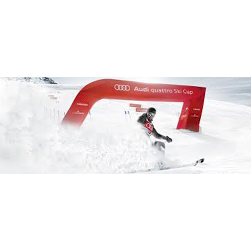 AudiQuattroSkiCup
